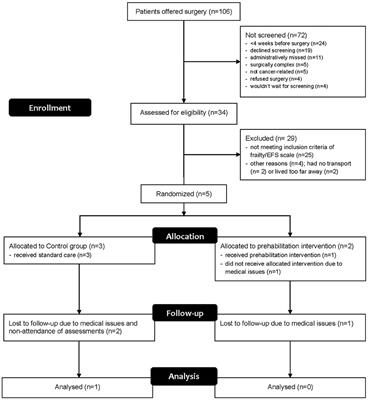 Prehabilitation for Frail Patients Undergoing Colorectal Surgery: Lessons Learnt From a Randomised Feasibility Study